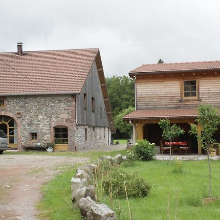Gites Typiques Au Coeur Des Hautes Vosges Saulxures-sur-Moselotte Exterior photo