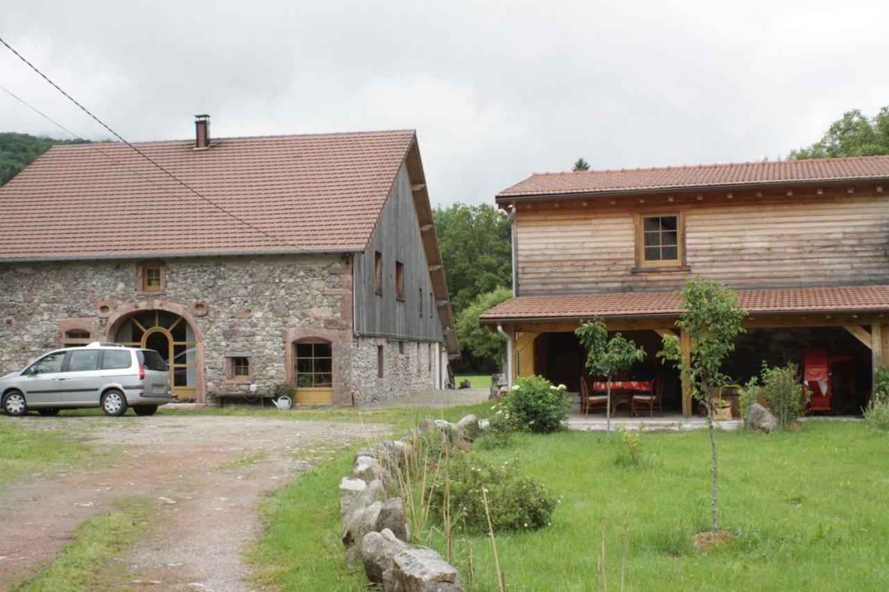 Gites Typiques Au Coeur Des Hautes Vosges Saulxures-sur-Moselotte Exterior photo